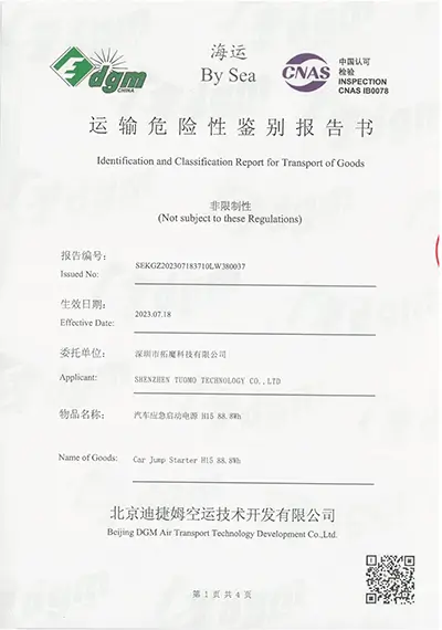 Sea Transport Report